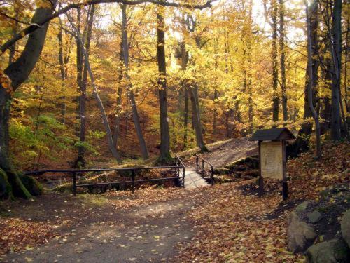 Kurpark Flair Hotel Im Ilsetal Ilsenburg Bagian luar foto